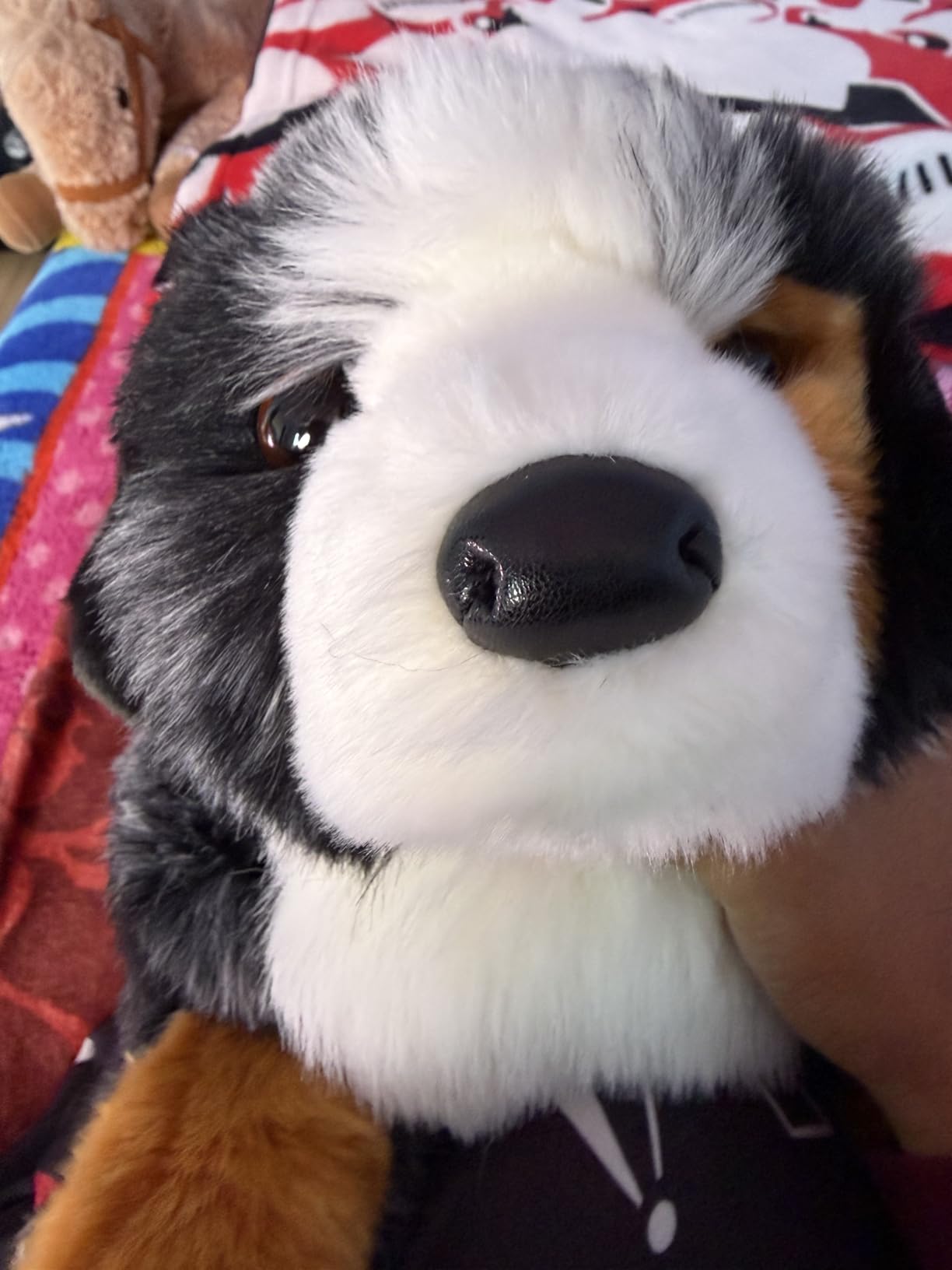 Douglas Maizie Australian Shepherd Dog Plush Stuffed Romania | Ubuy